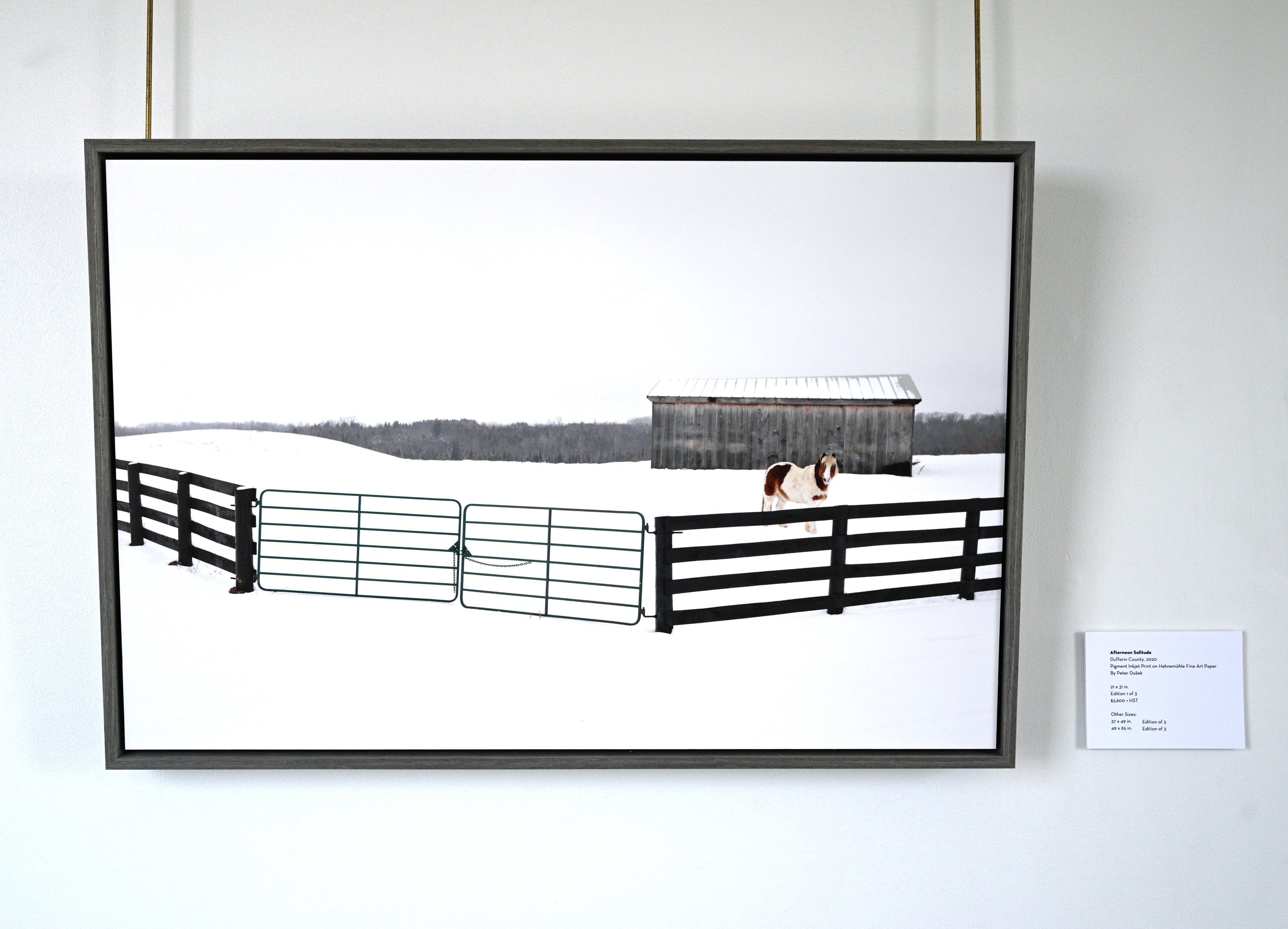 Afternoon Solitude by Peter Dušek