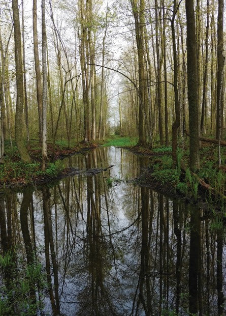 Photograph in Frame - Museum of Dufferin Juried Photography Exhibition