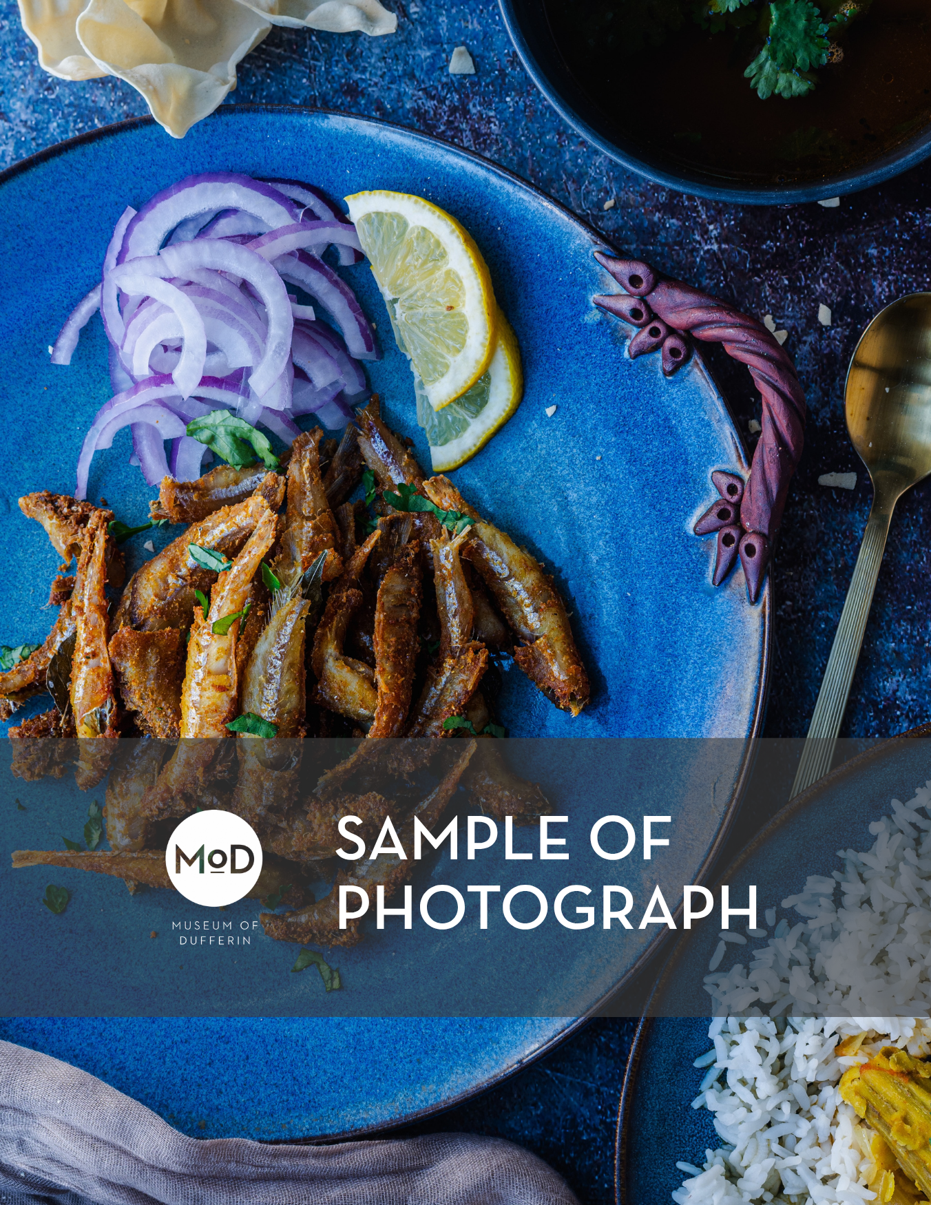 Marina Beach Anchovies Fry by Aarthi Arunkumar (Framed Print)