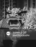 Dragon by Julian Toh (Framed Print)