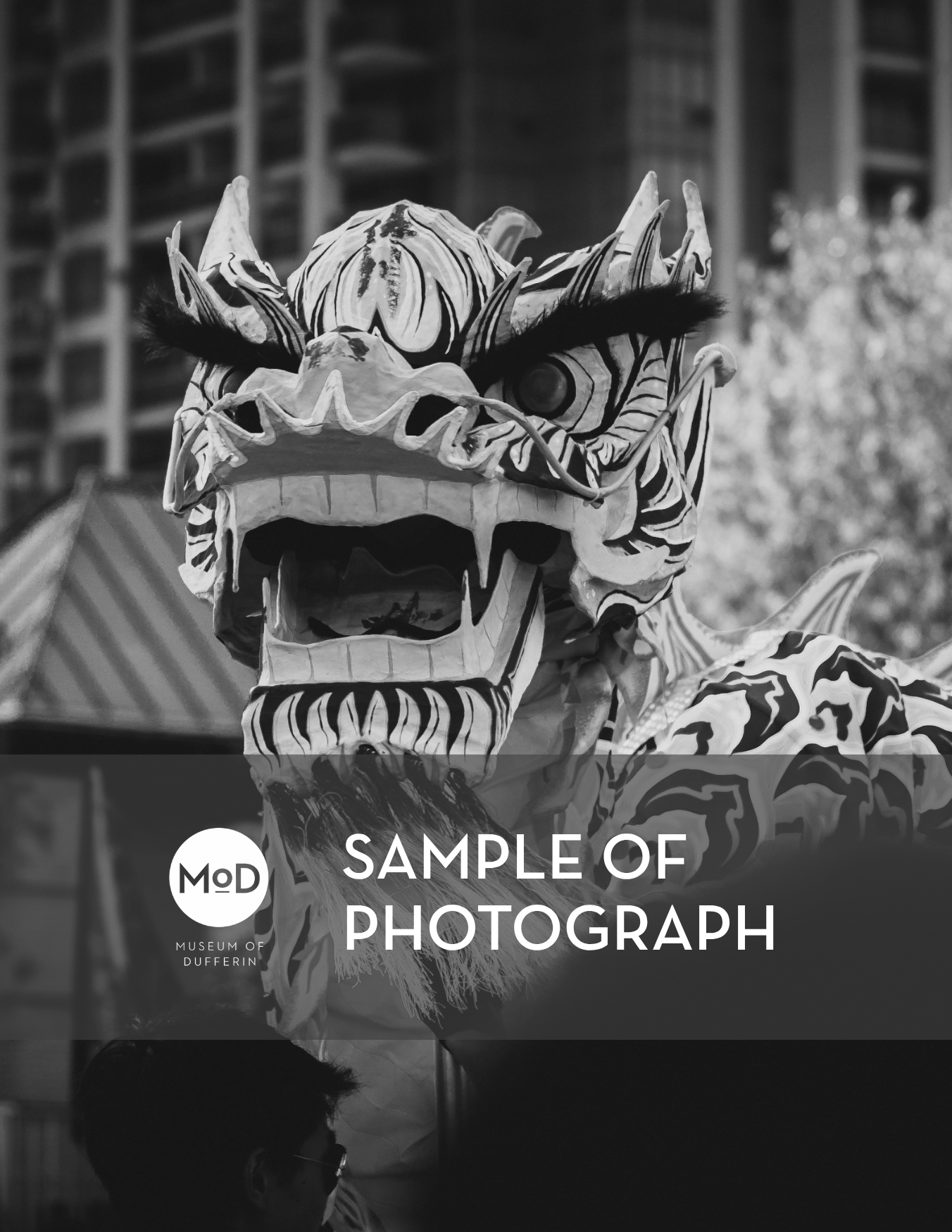 Dragon by Julian Toh (Framed Print)