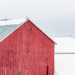 Red Barn by Peter Dušek