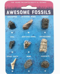 Awesome Fossils