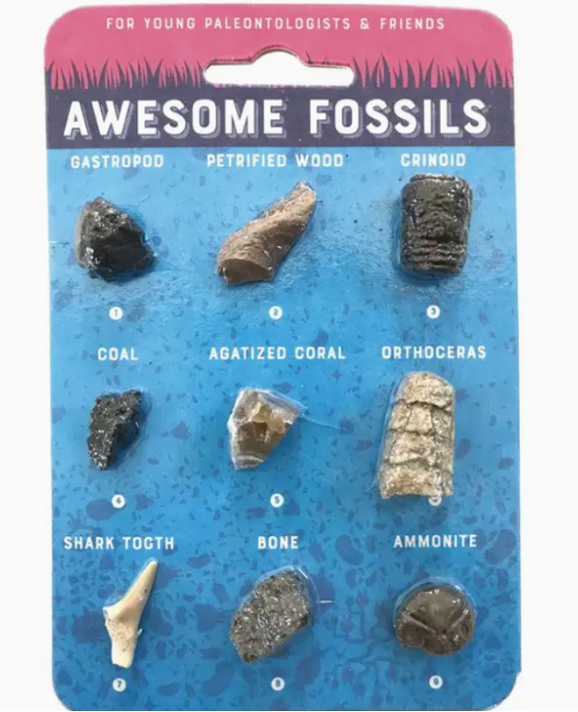 Awesome Fossils