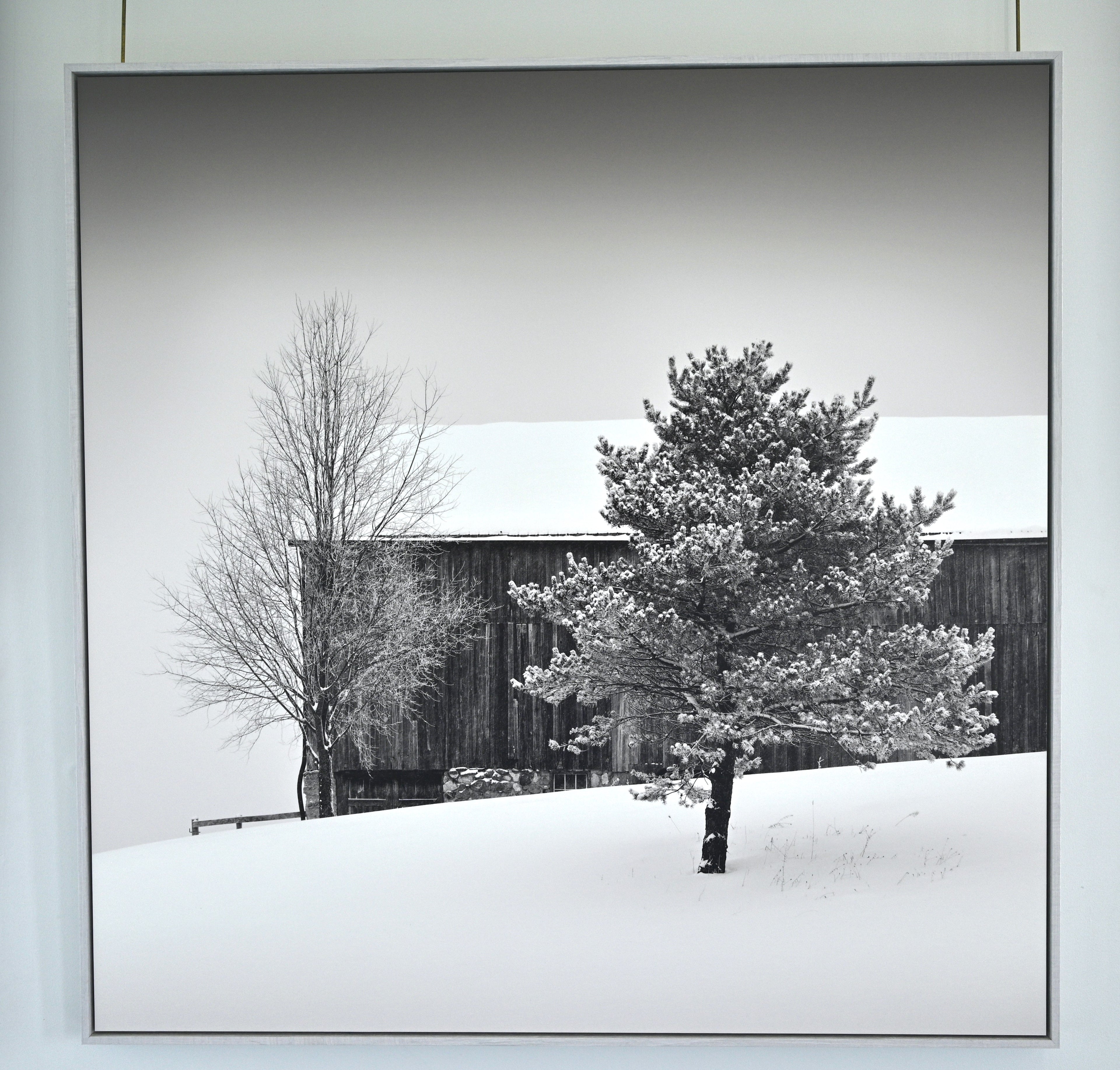 Winter Barn by Peter Dušek