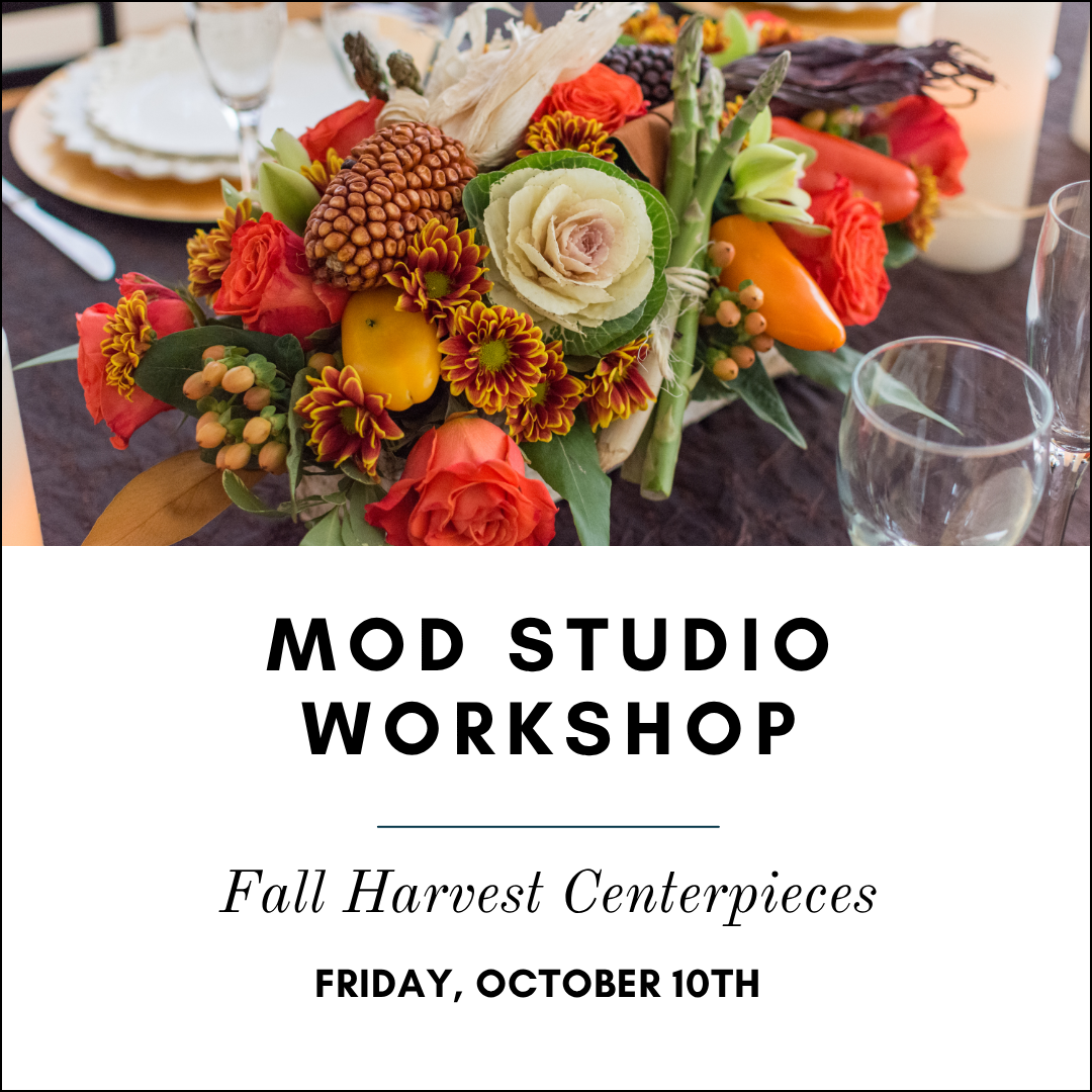 MoD Studio: Make Your Own Halloween Candles - 29 Oct 2025