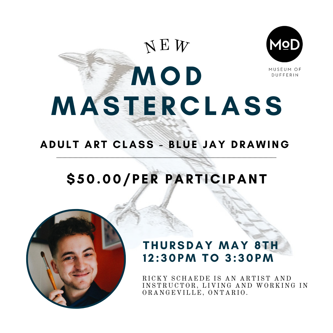 CANCELLED - MoD Masterclass: Blue Jay Drawing with Ricky Schaede