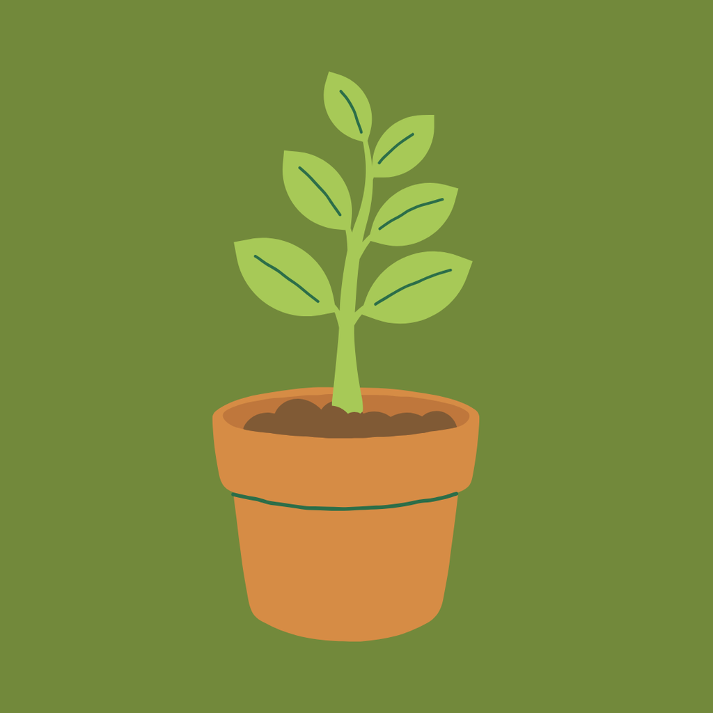 MoD Tots: Growing Gardeners! - 20 May 2026