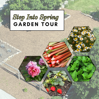 MoD Garden Tour: Step Into Spring - 30 May 2026