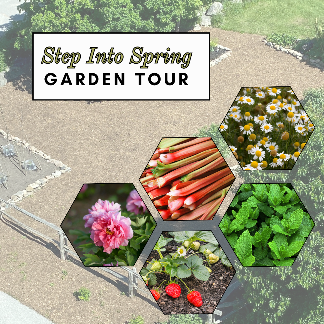MoD Garden Tour: Step Into Spring - 30 May 2026