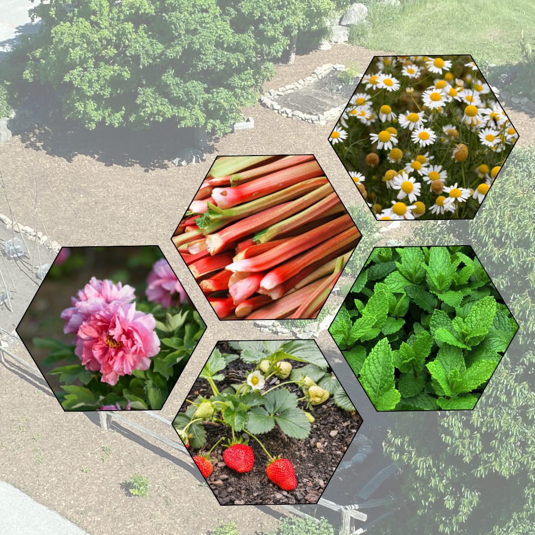MoD Garden Tour: Step Into Spring - 30 May 2026