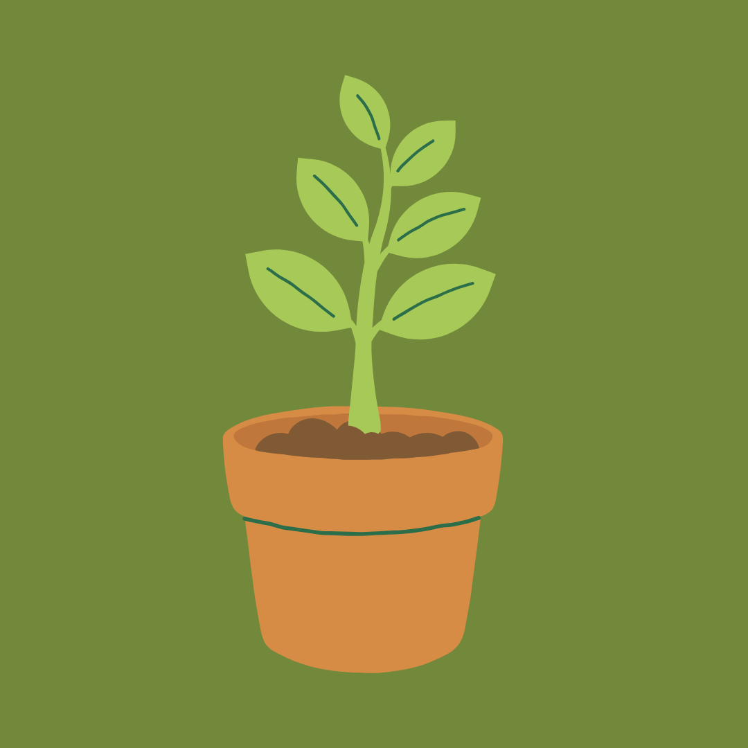 MoD Tots: Growing Gardeners! - 20 May 2026